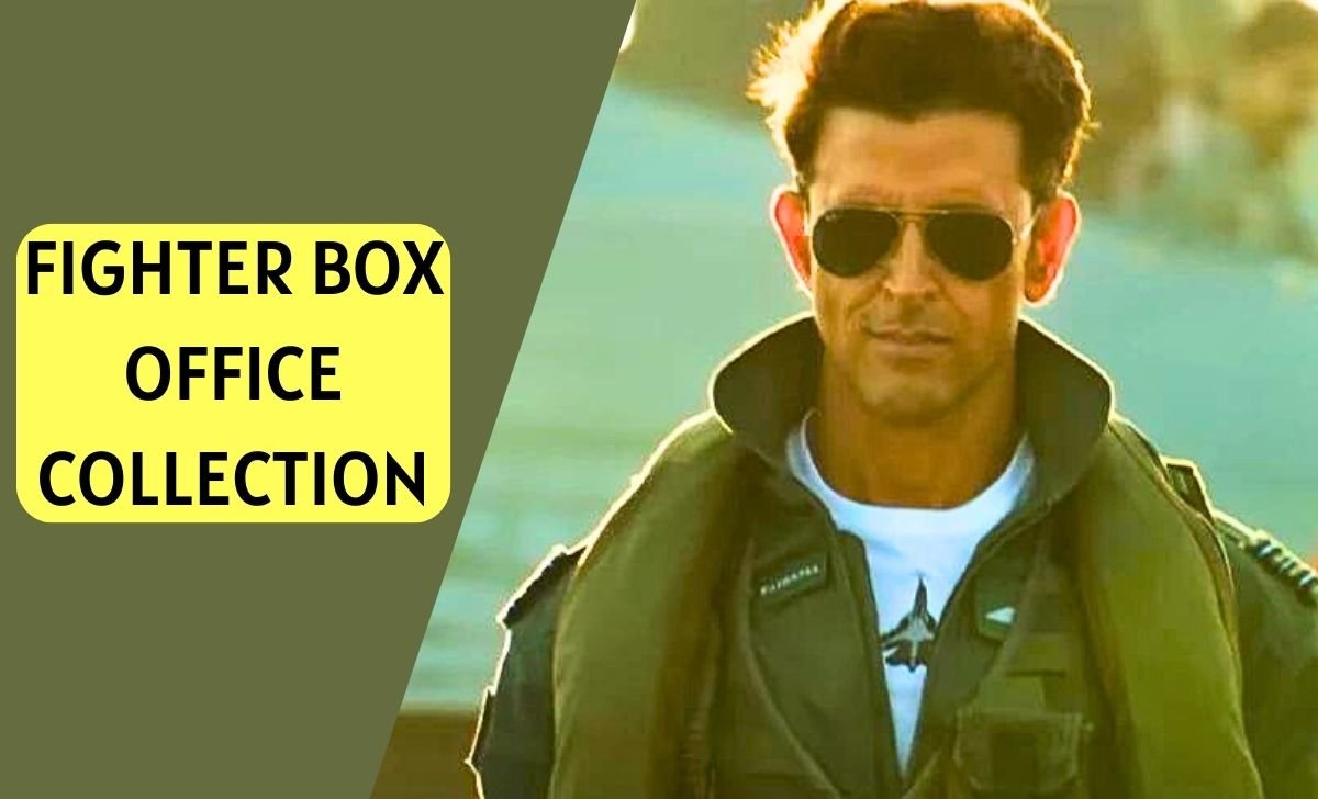 Fighter Box Office Collection